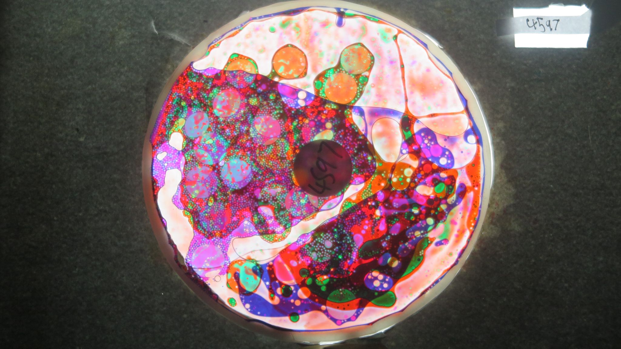 BV4597 bubble vision oil wheel